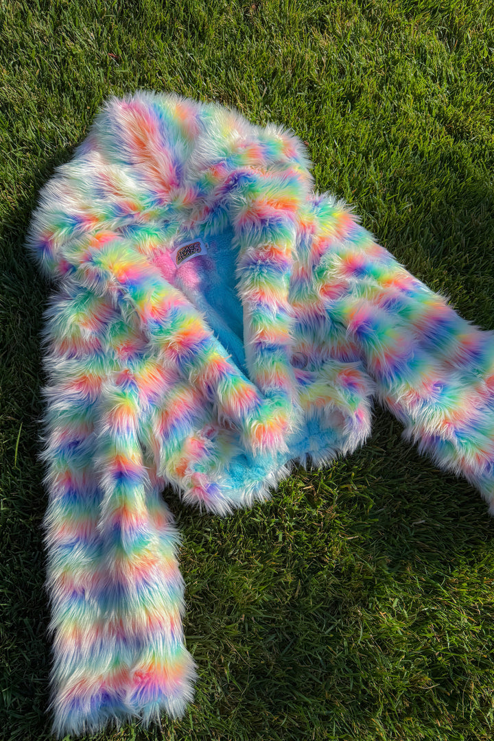 Frosted Rainbow Crop Coat